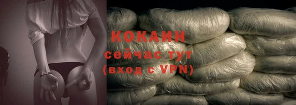 Альфа ПВП Бородино