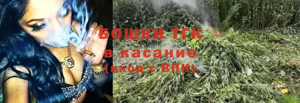 дживик Бронницы