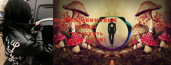 дживик Бронницы