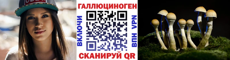 дарк нет клад  Трёхгорный  Галлюциногенные грибы GOLDEN TEACHER 
